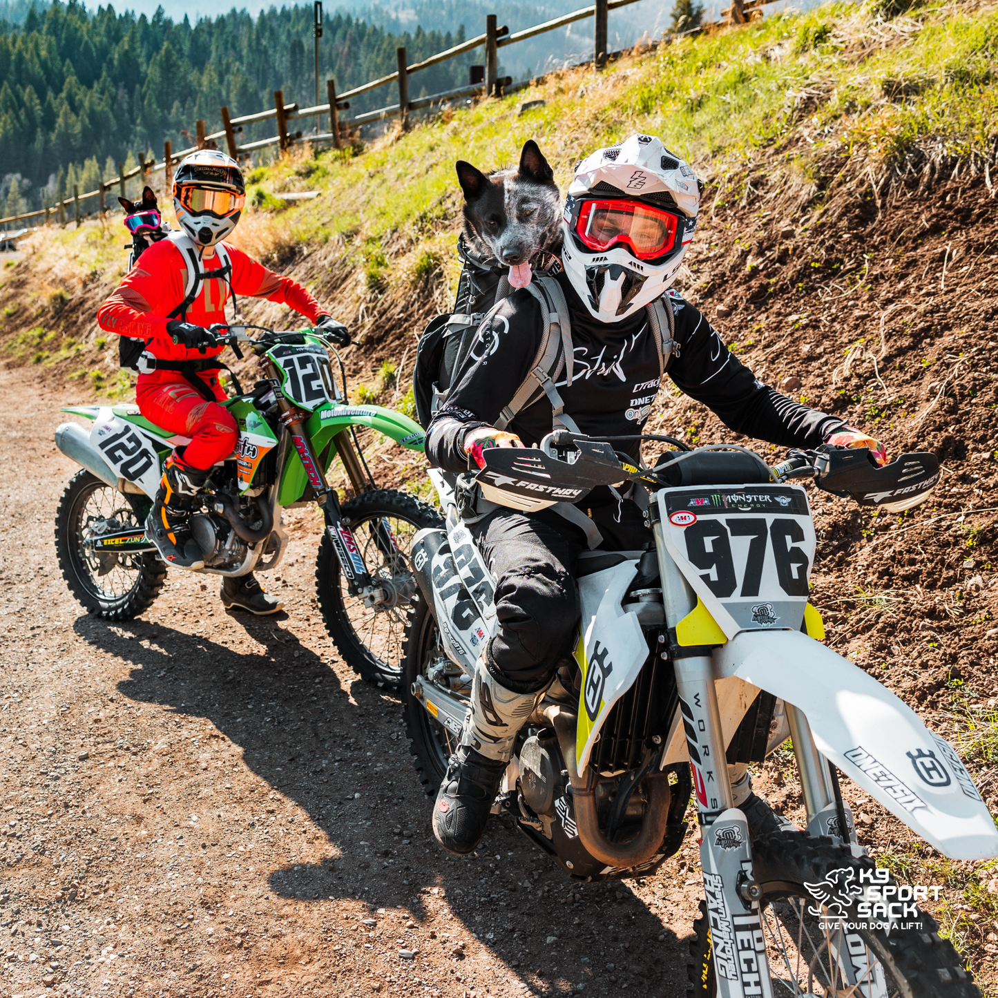 Kolossus | Big Dog Carrier & Backpacking Pack - Your Pet Connection