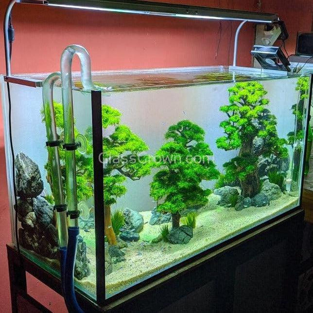 Dragonwood Bonsai Wood Nano Size 6" - Your Pet Connection