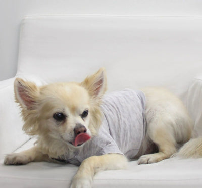 Doggy Tee - Your Pet Connection