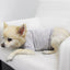 COIN1804 Trendy Burnout Dog Clothes