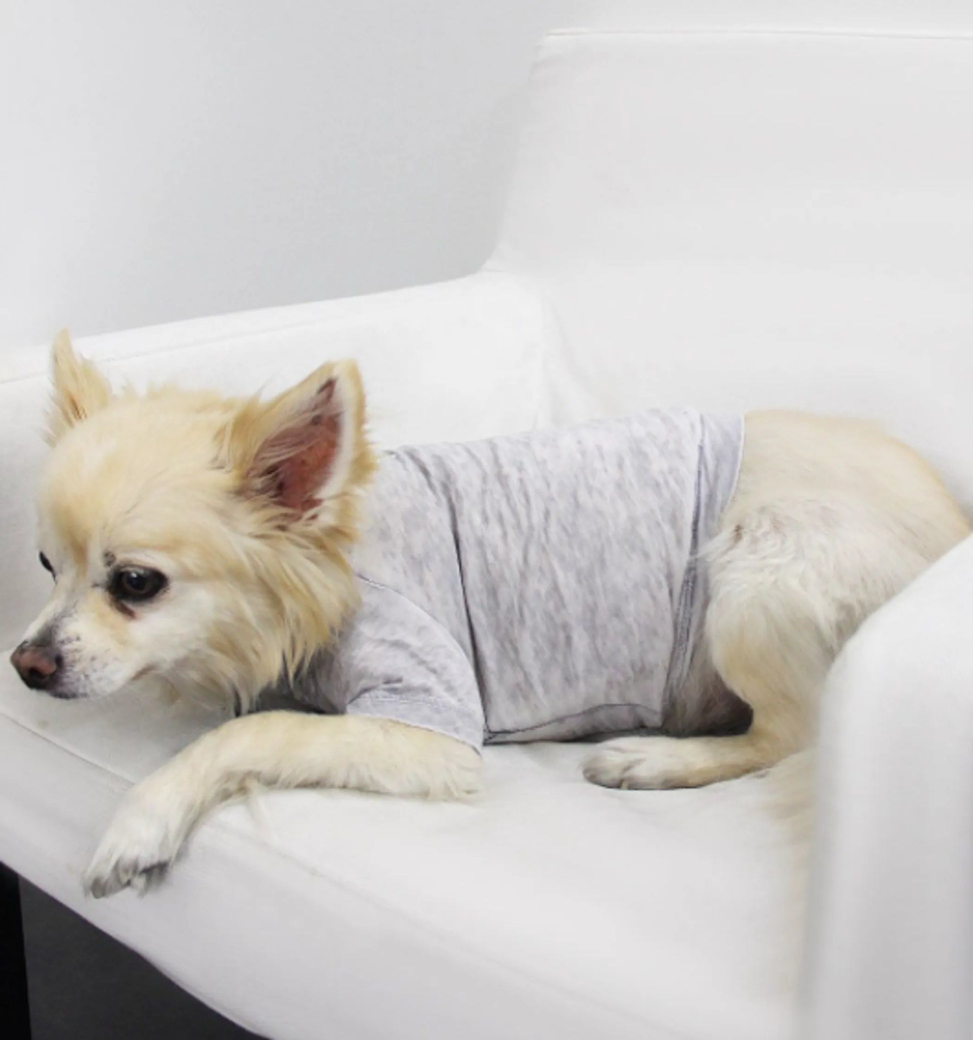 Doggy Tee - Your Pet Connection