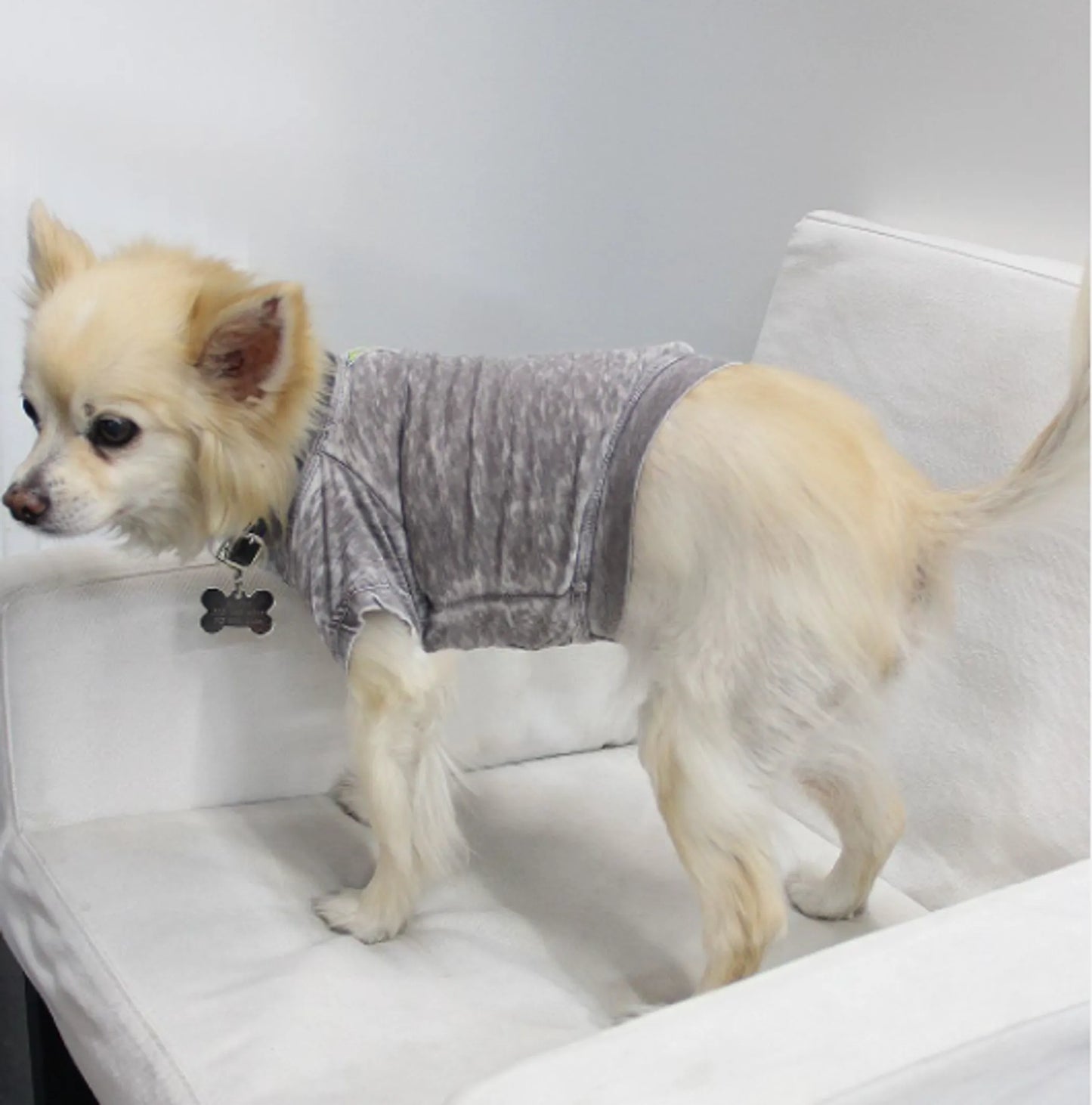 COIN1804 Trendy Burnout Dog Clothes