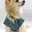 COIN1804 Trendy Burnout Dog Clothes