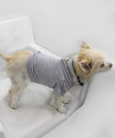 Doggy Hoodie - Your Pet Connection