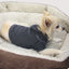 Doggy Hoodie - Your Pet Connection