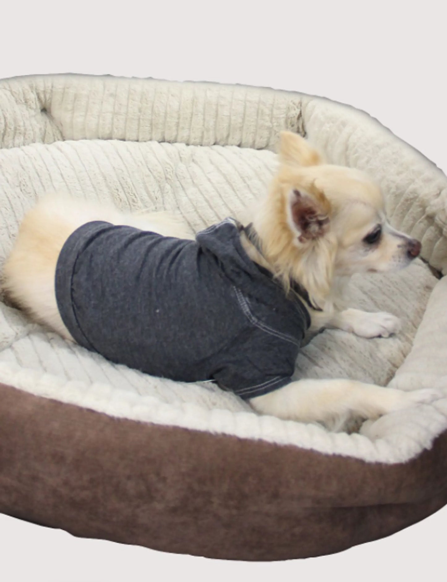 COIN1804 Cozy Dog & Cat Hoodie