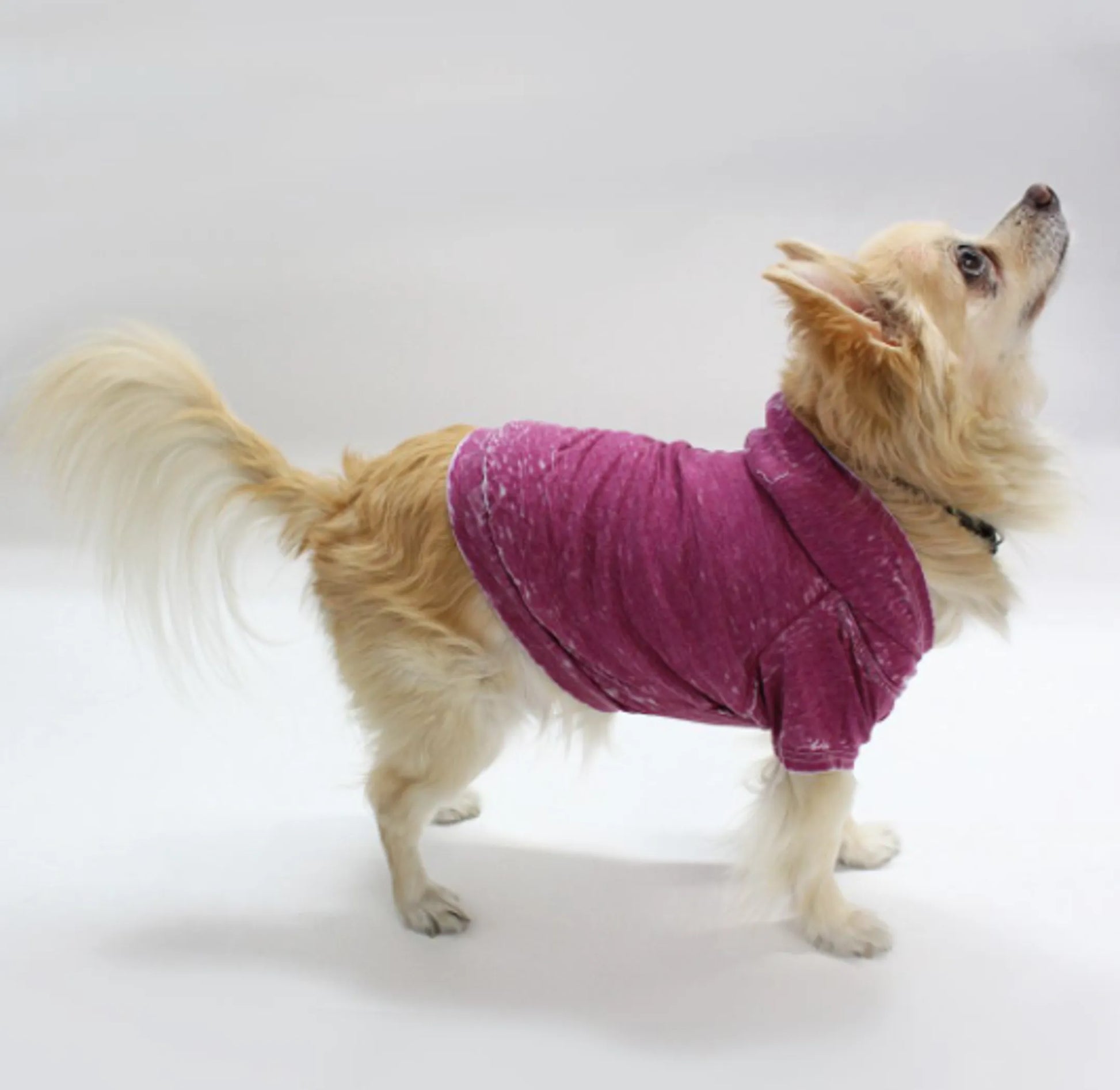 Doggy Hoodie - Your Pet Connection