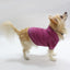 Doggy Hoodie - Your Pet Connection