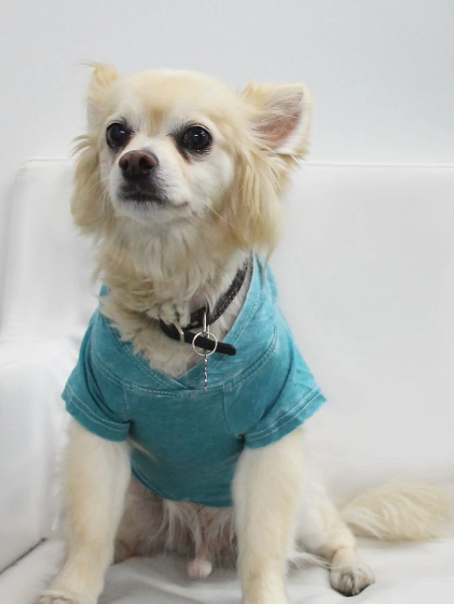 Doggy Hoodie - Your Pet Connection