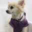 Doggy Hoodie - Your Pet Connection