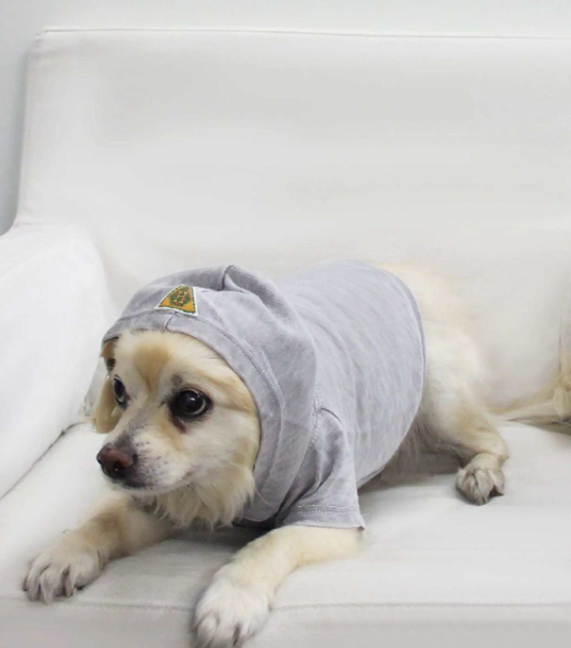 Doggy Hoodie French Terry - Your Pet Connection