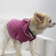 Doggy Hoodie French Terry - Your Pet Connection