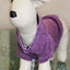 Doggy Hoodie French Terry - Your Pet Connection