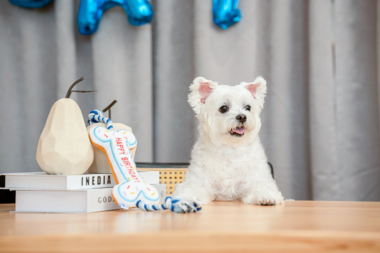 Birthday Cake - Blue - Your Pet Connection