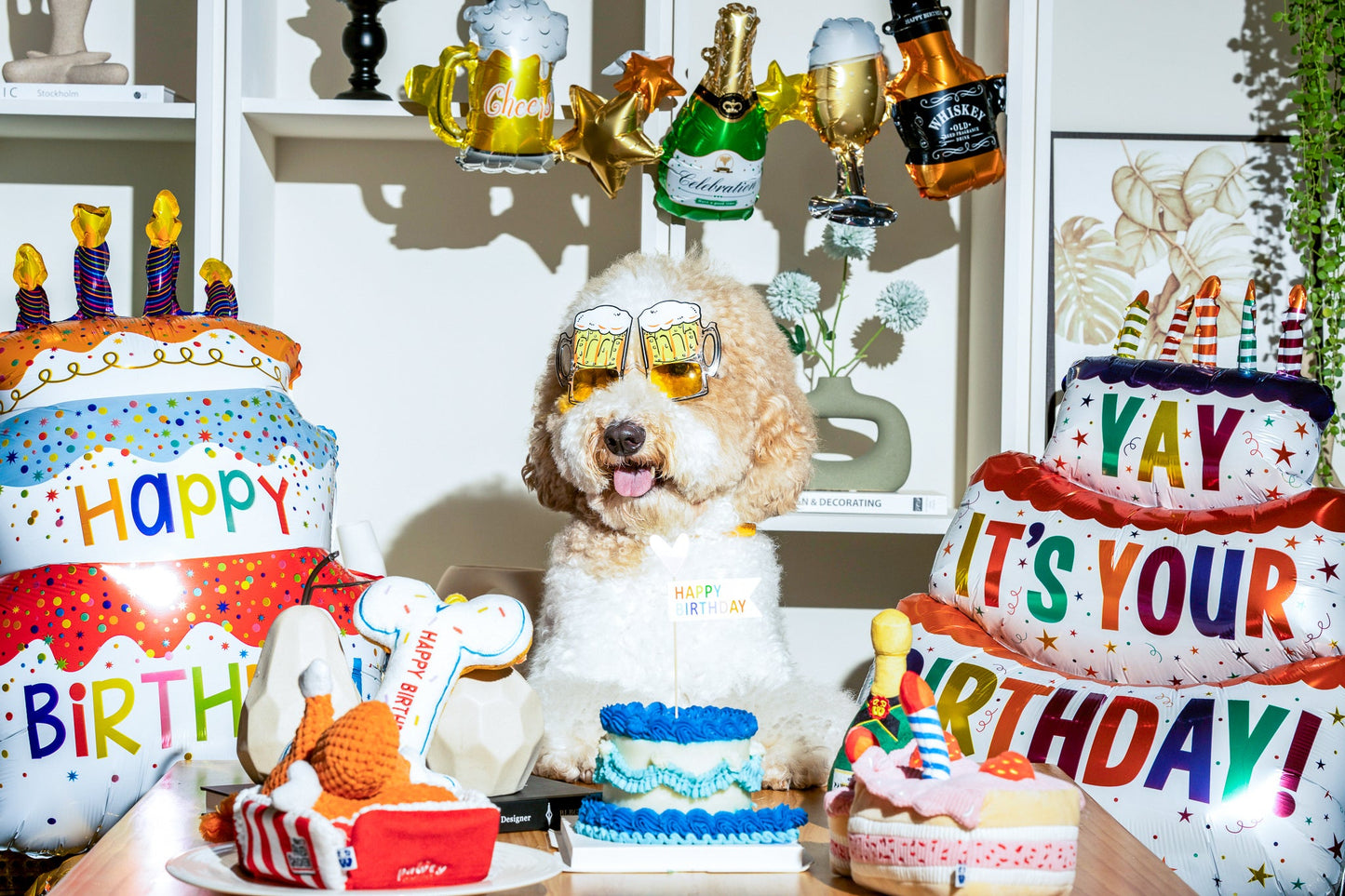 Cupcake - Your Pet Connection