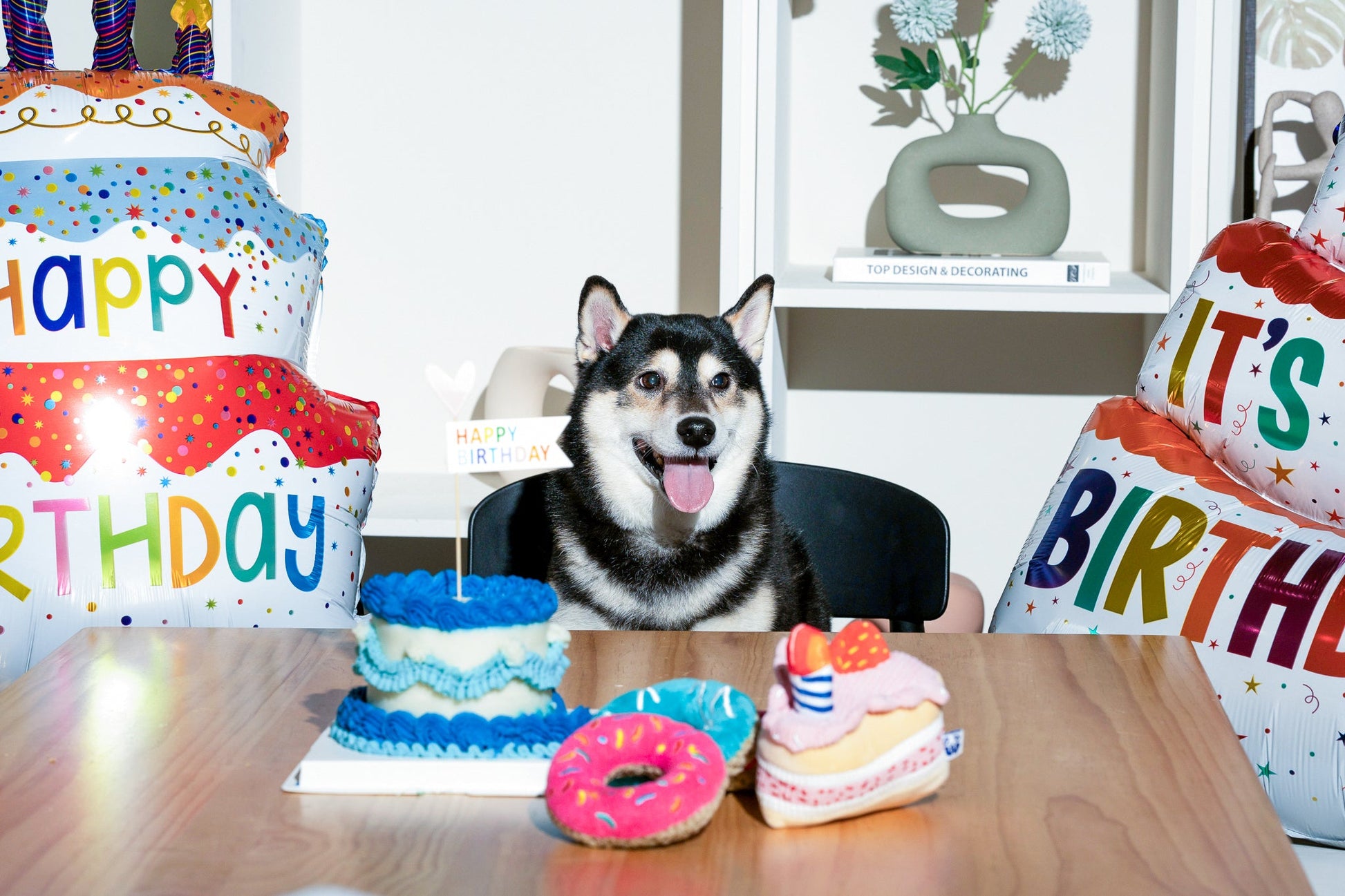 BIRTHDAY CAKE - Your Pet Connection