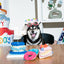 Birthday Cake - Blue - Your Pet Connection