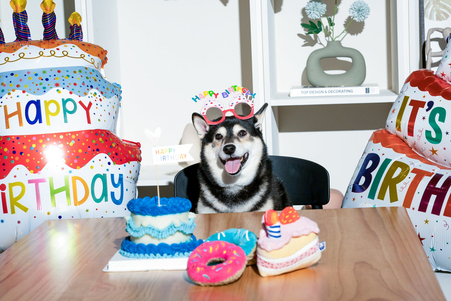 Cupcake - Your Pet Connection