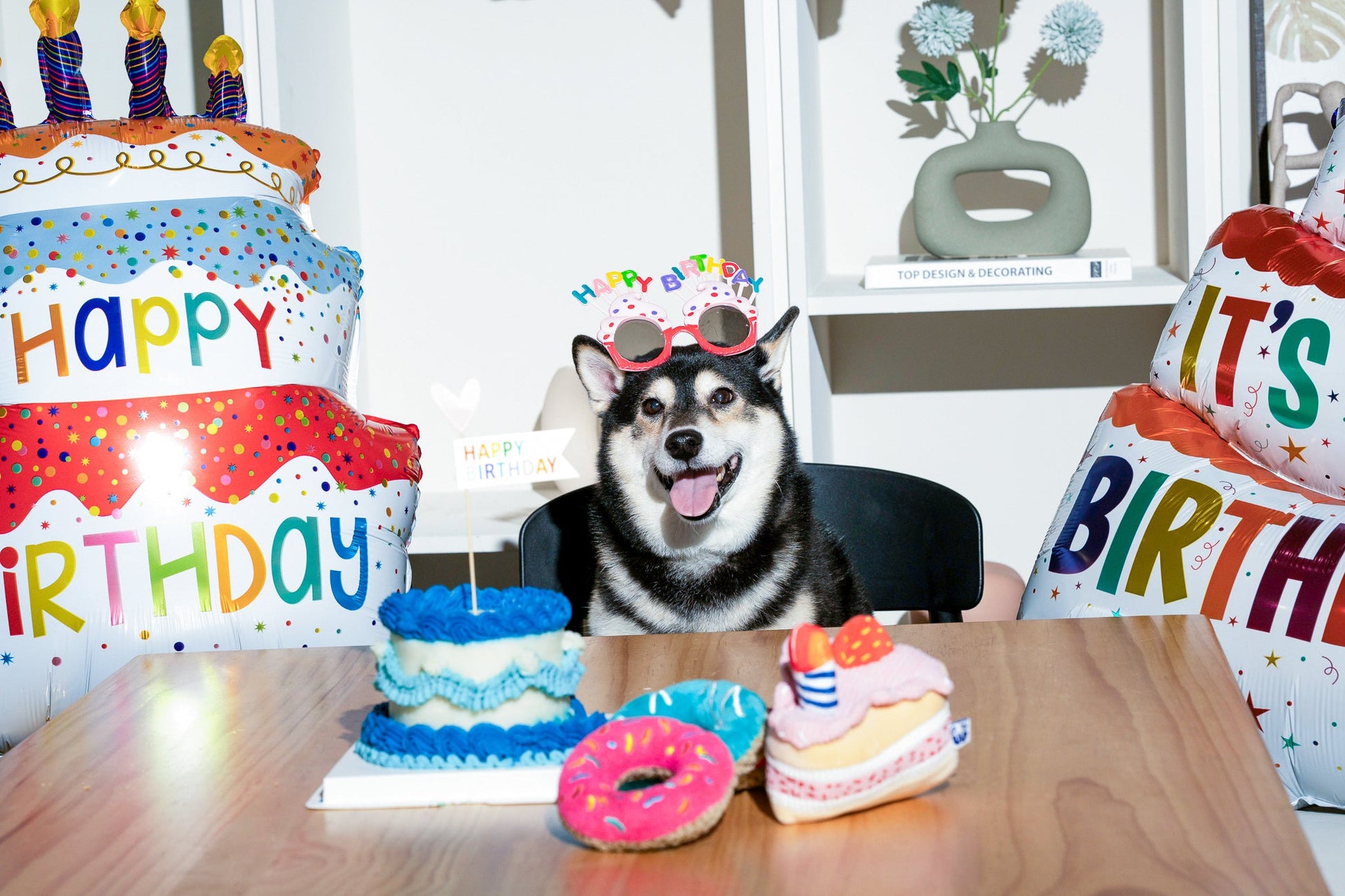 BIRTHDAY BONE - Your Pet Connection