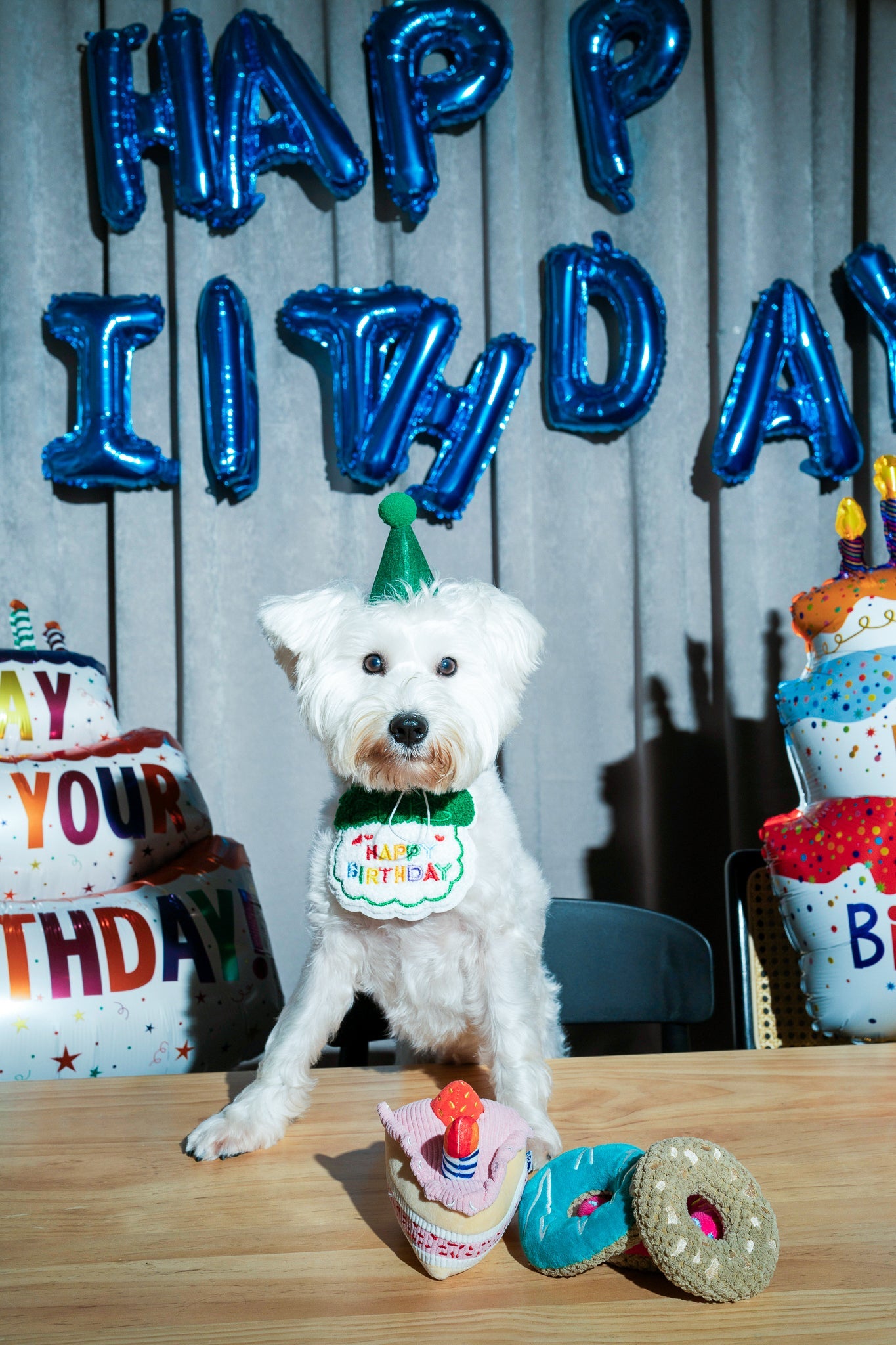 Birthday Cake - Blue - Your Pet Connection