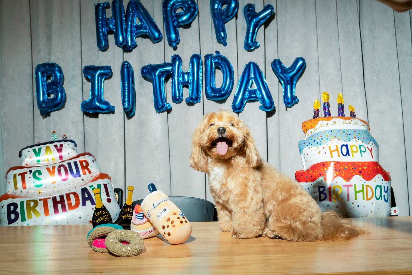 BIRTHDAY CAKE - Your Pet Connection