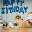 Birthday Cake - Blue - Your Pet Connection
