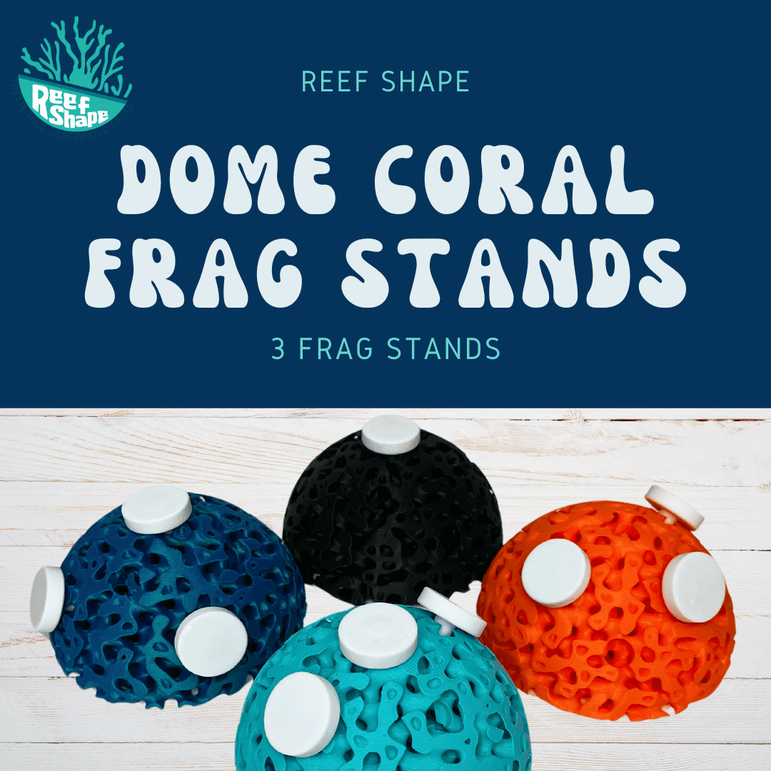 Aquarium Dome Coral Frag Stand | Coral Reef Replica Frag Stand Base for Growing Coral | Displays Multiple Frags - Your Pet Connection