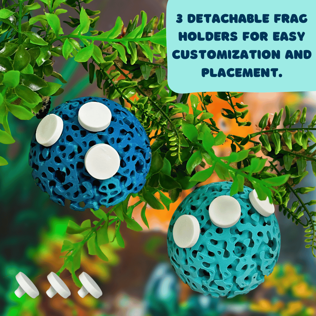 Aquarium Dome Coral Frag Stand | Coral Reef Replica Frag Stand Base for Growing Coral | Displays Multiple Frags - Your Pet Connection