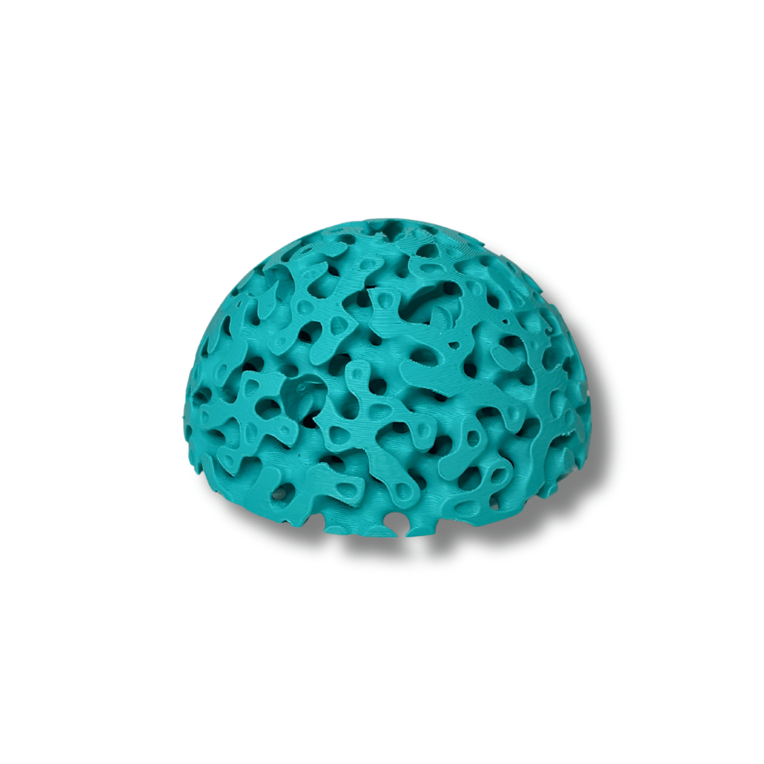 Aquarium Dome Coral Frag Stand | Coral Reef Replica Frag Stand Base for Growing Coral | Displays Multiple Frags - Your Pet Connection