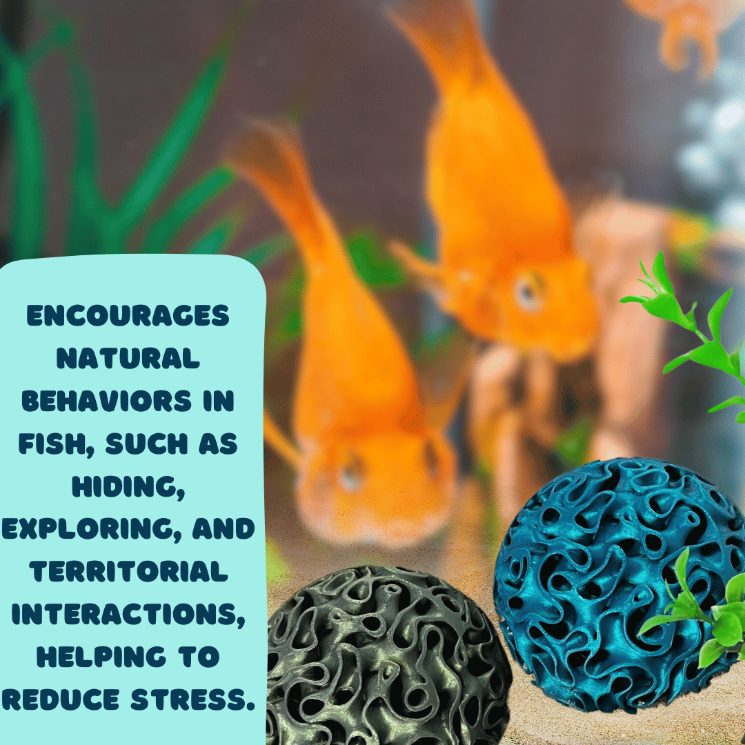 Aquarium Coral Reef Dome - Aquarium Reef Replica for Fish & Shrimp Shelter & Egg Laying - Your Pet Connection