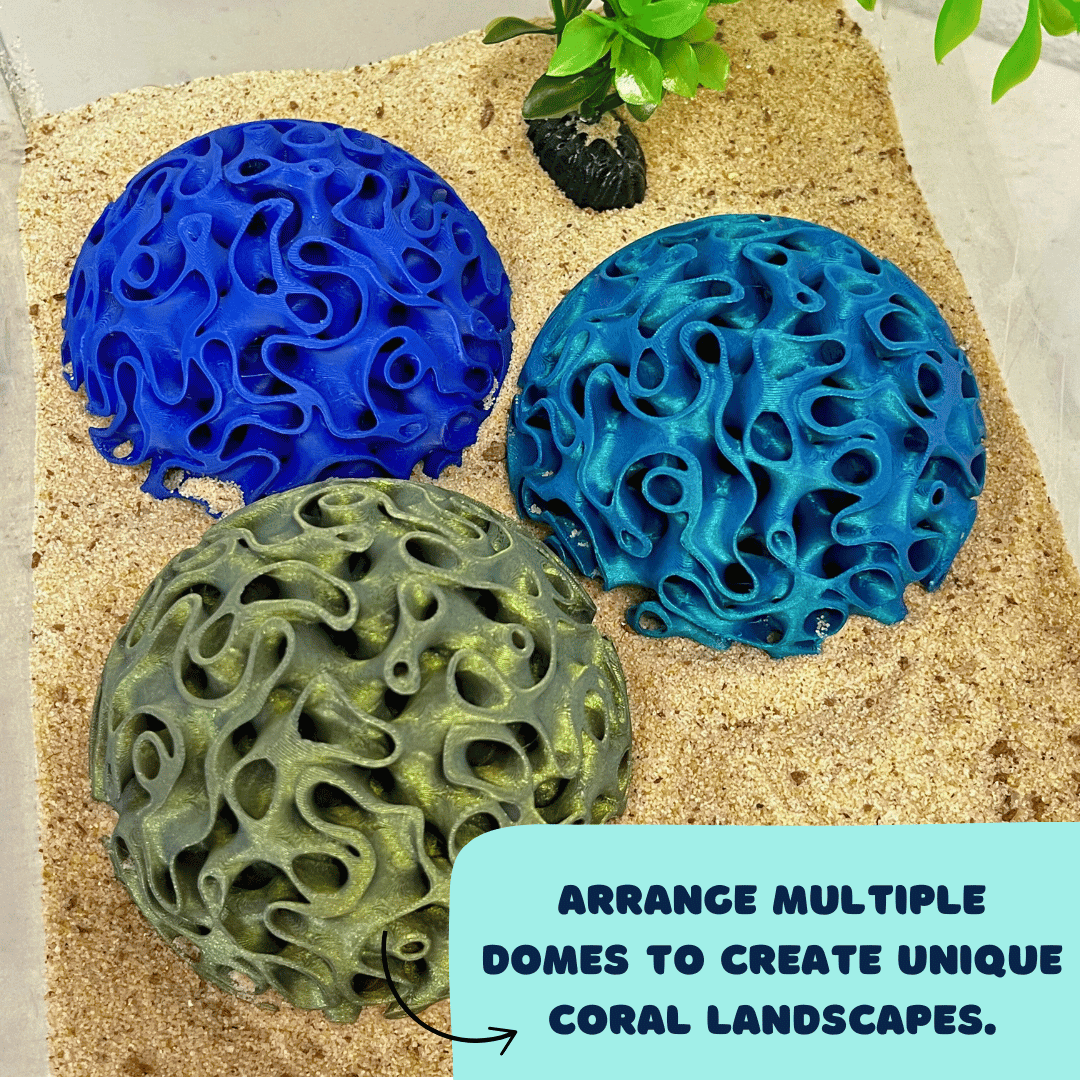 Aquarium Coral Reef Dome - Aquarium Reef Replica for Fish & Shrimp Shelter & Egg Laying - Your Pet Connection