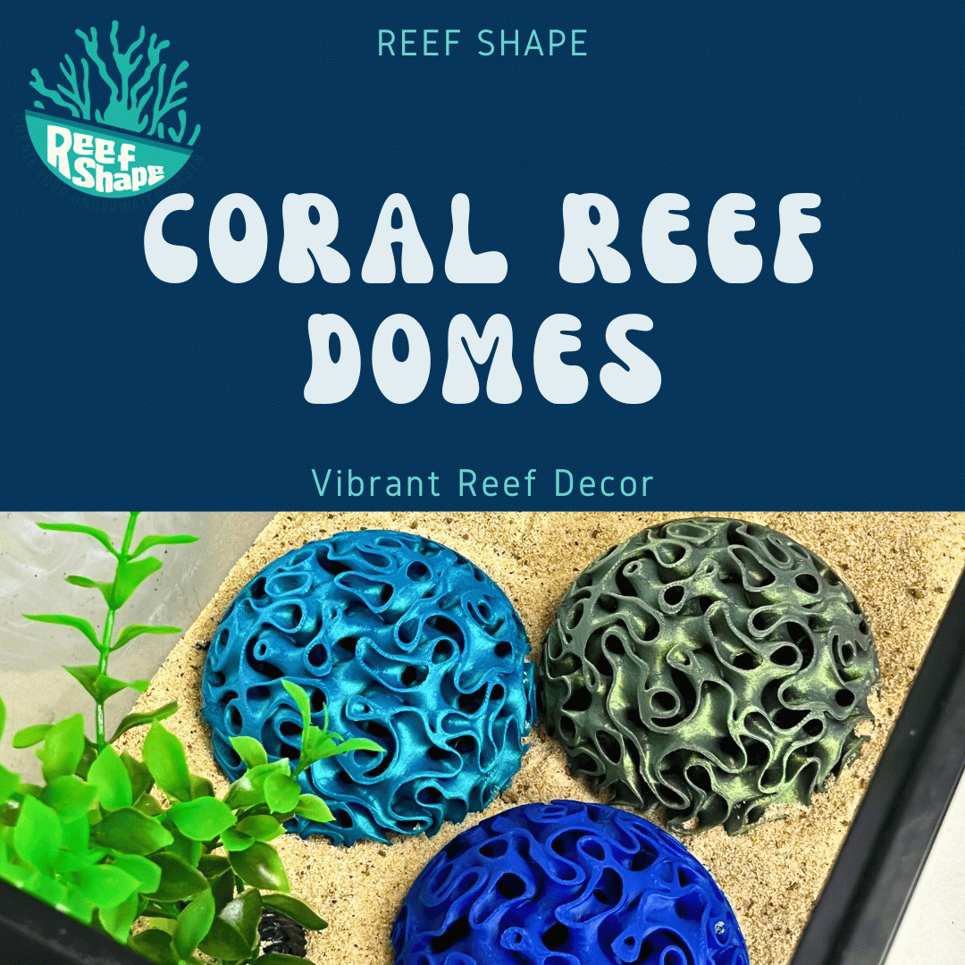 Aquarium Coral Reef Dome - Aquarium Reef Replica for Fish & Shrimp Shelter & Egg Laying - Your Pet Connection