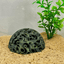 Aquarium Coral Reef Dome - Aquarium Reef Replica for Fish & Shrimp Shelter & Egg Laying - Your Pet Connection
