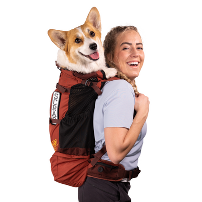 Knavigate | Advanced Dog Carrier with Internal Frame & Hip Belt - Your Pet Connection
