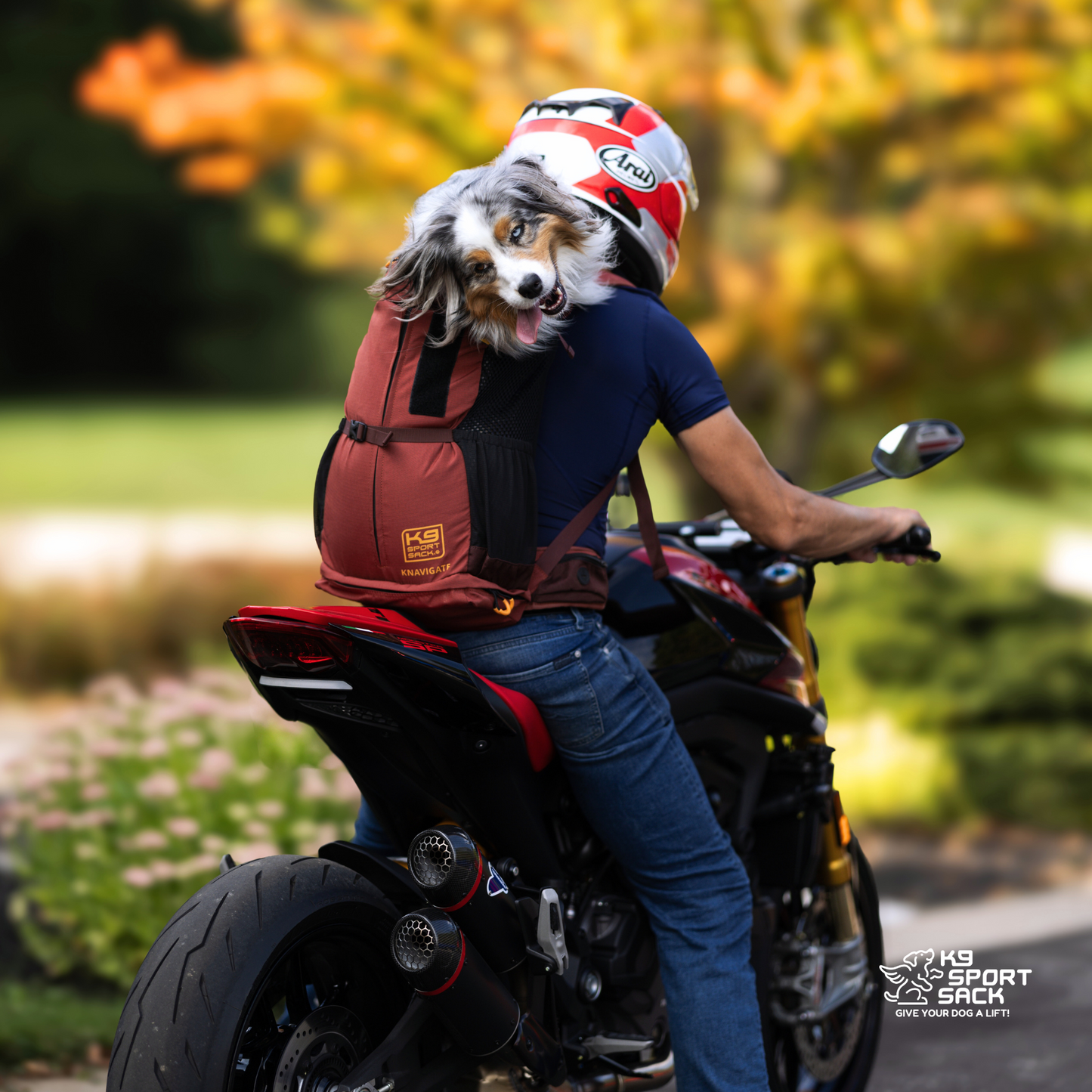 Knavigate | Advanced Dog Carrier with Internal Frame & Hip Belt - Your Pet Connection