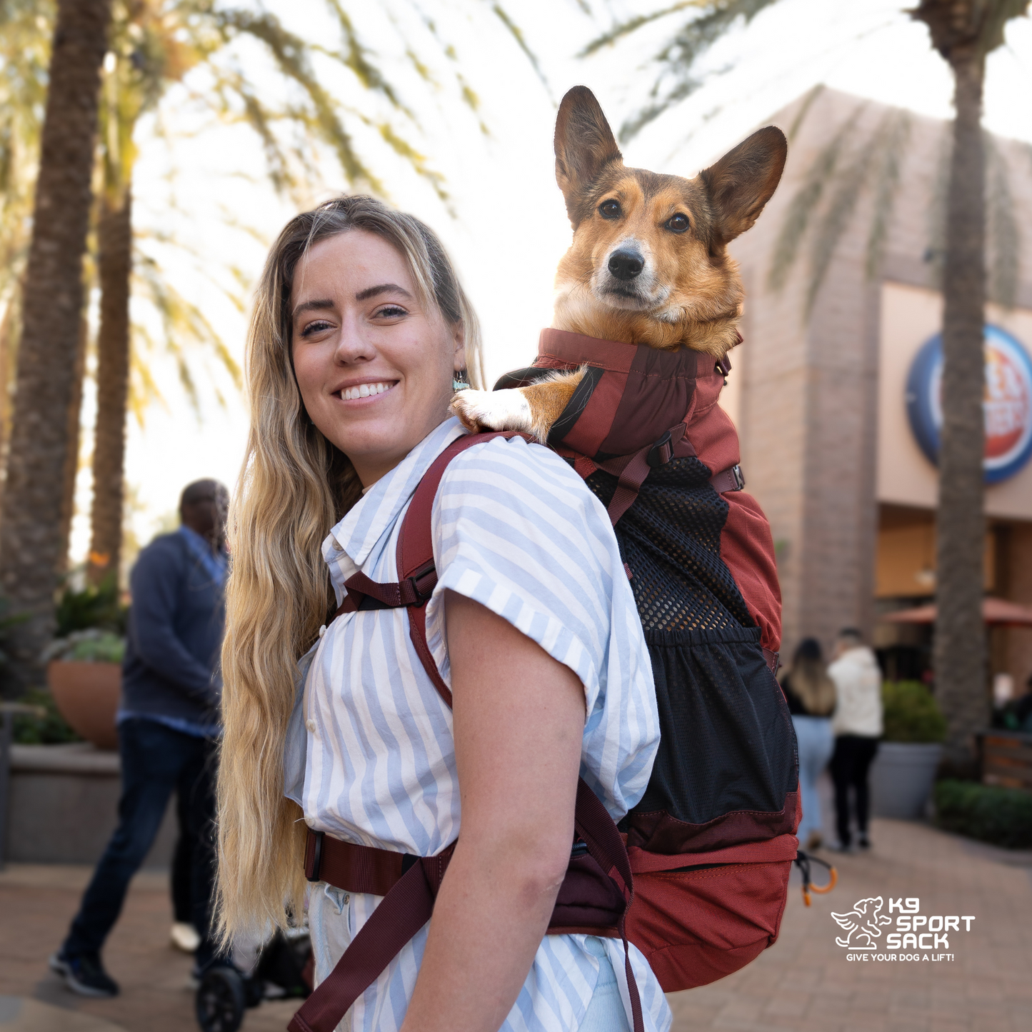 Knavigate | Advanced Dog Carrier with Internal Frame & Hip Belt - Your Pet Connection