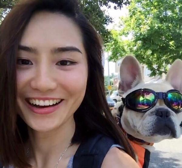 K9 Sport Shades - Dog Goggles - Your Pet Connection