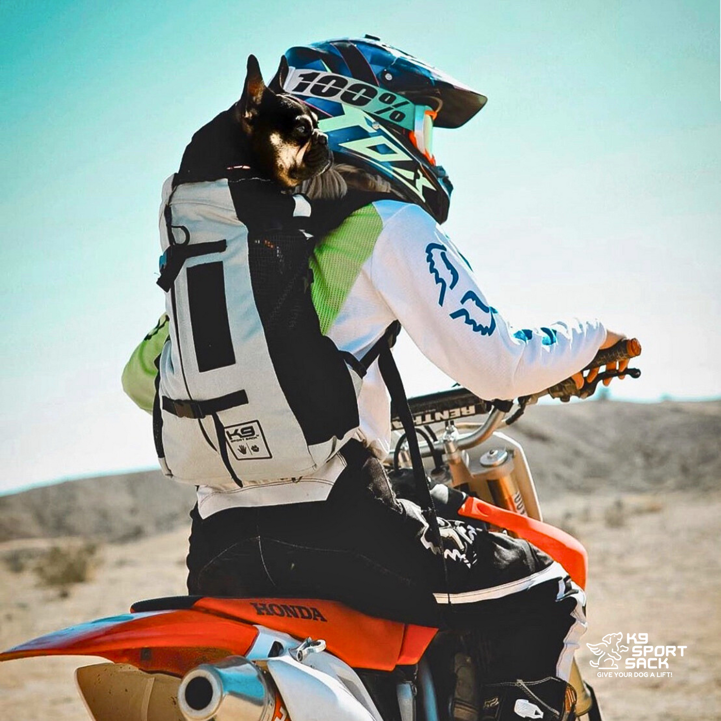 Air 2 | The Original Backpack Dog Carrier - Your Pet Connection