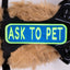 Ask to Pet 2x6 Patch - Your Pet Connection