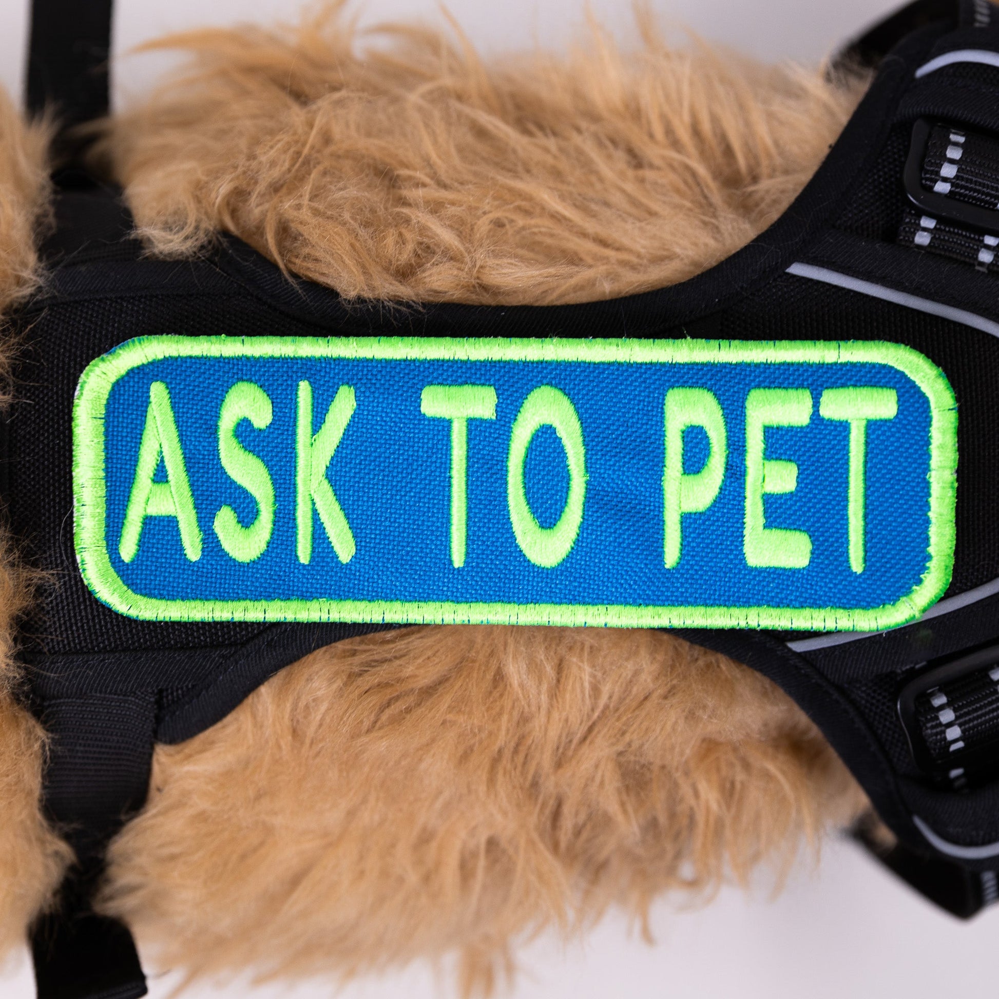 Ask to Pet 2x6 Patch - Your Pet Connection