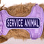 Service Animal 2x6 Patch - Your Pet Connection