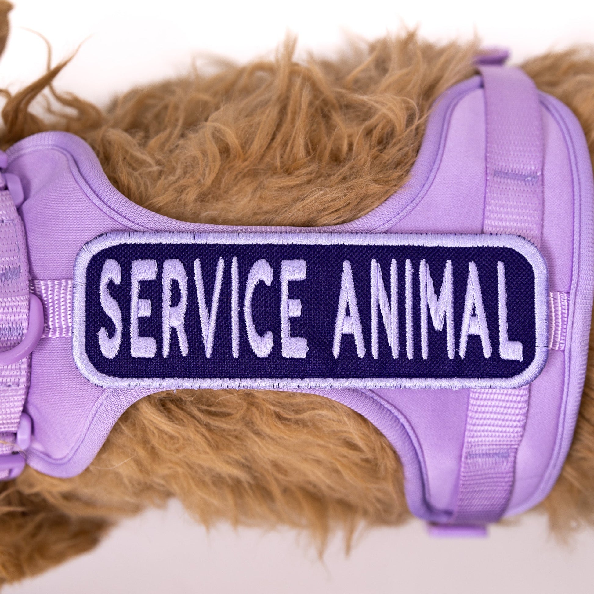 Service Animal 2x6 Patch - Your Pet Connection