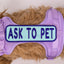Ask to Pet 2x6 Patch - Your Pet Connection