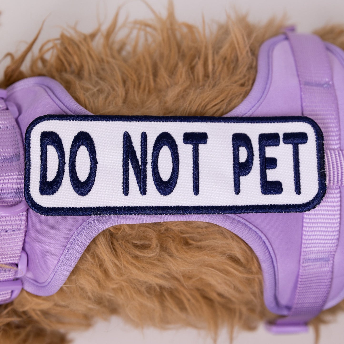 Do Not Pet 2x6 Patch - Your Pet Connection