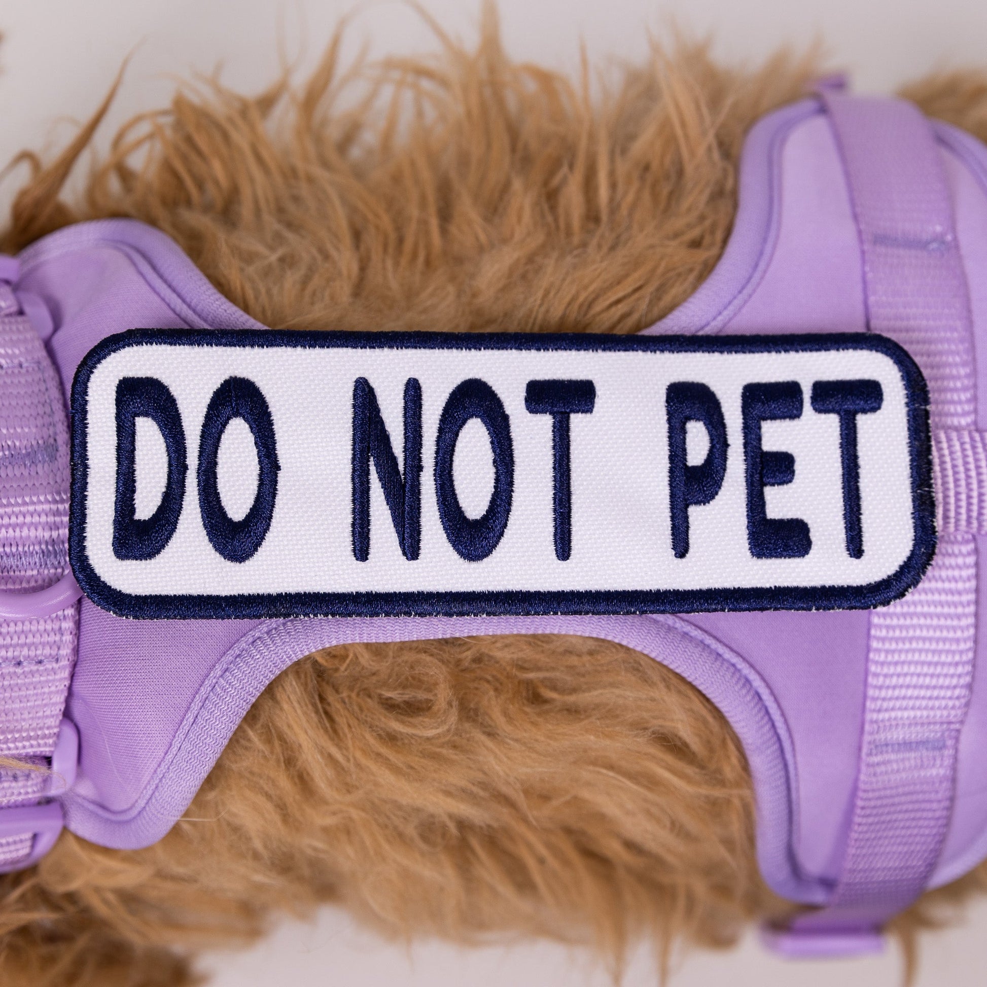 Do Not Pet 2x6 Patch - Your Pet Connection