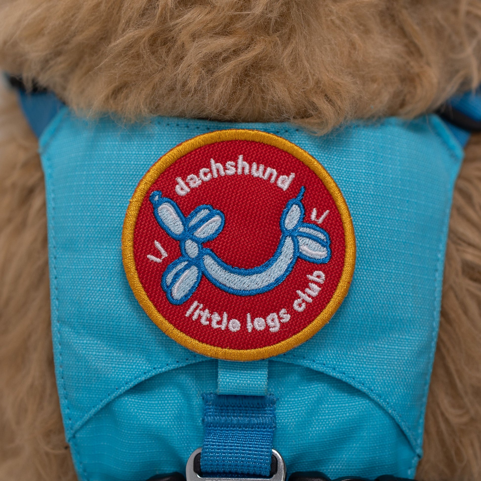 Dachshund Little Legs Club Patch - Your Pet Connection