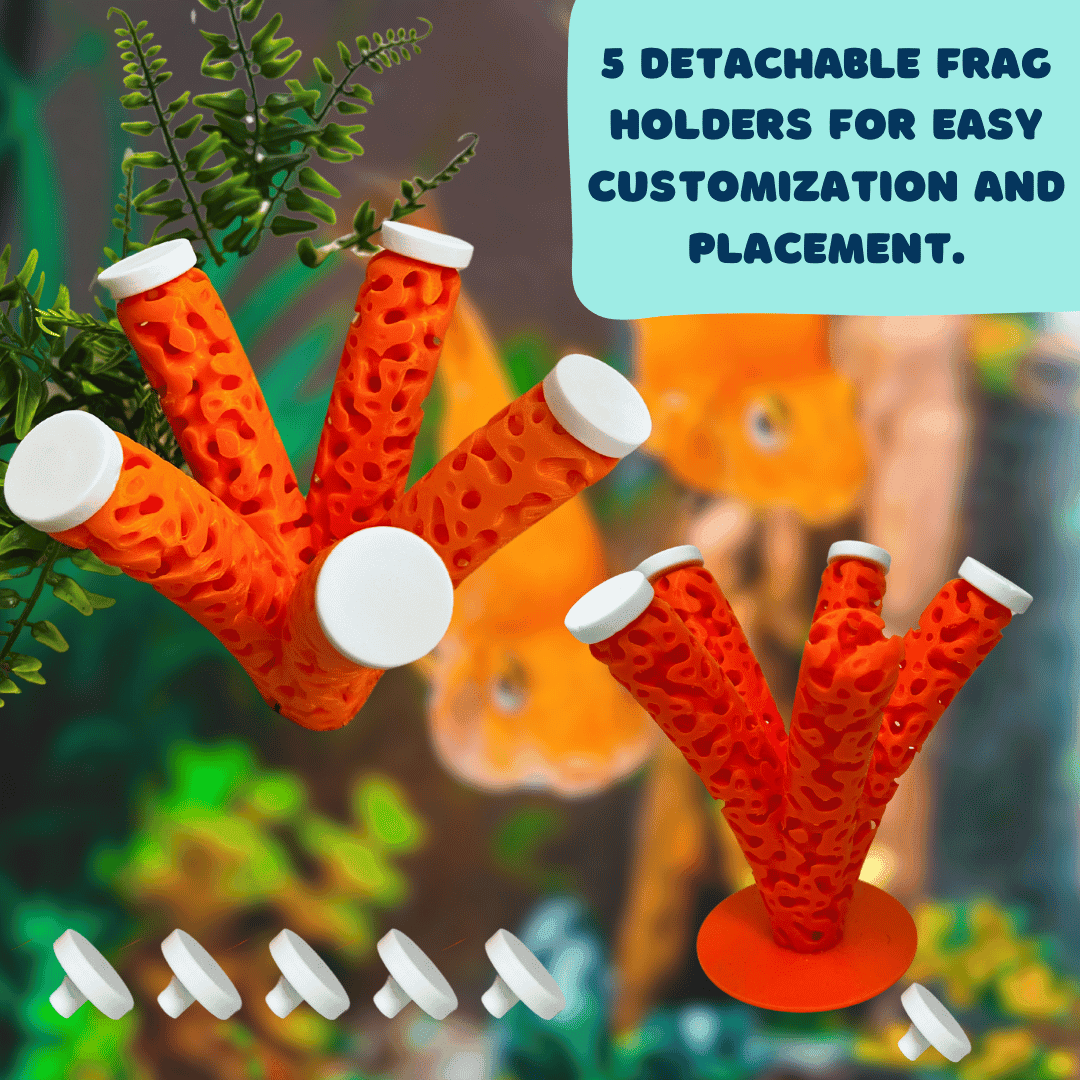 Aquarium Coral Frag Stand Branch | Lattice Coral Structure Branch Design with 5 Frag Mounts - Your Pet Connection