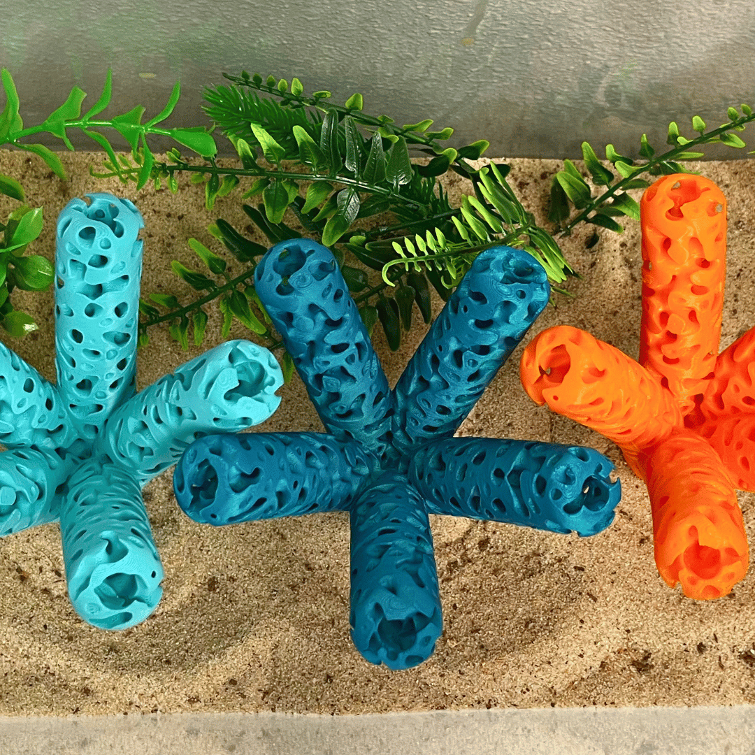Aquarium Coral Frag Stand Branch | Lattice Coral Structure Branch Design with 5 Frag Mounts - Your Pet Connection