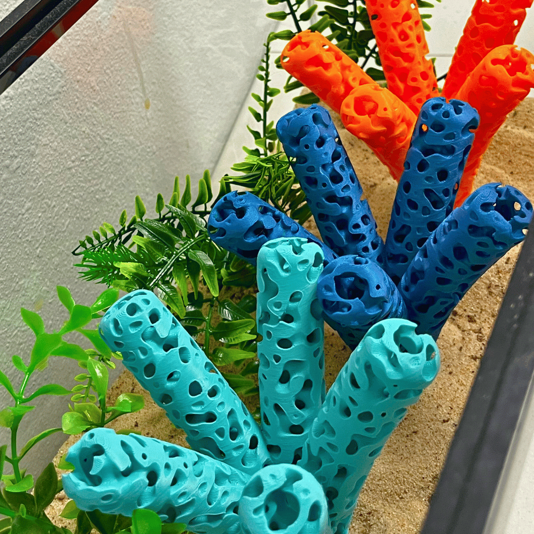 Aquarium Coral Frag Stand Branch | Lattice Coral Structure Branch Design with 5 Frag Mounts - Your Pet Connection