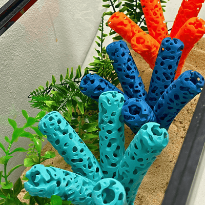 Aquarium Coral Frag Stand Branch | Lattice Coral Structure Branch Design with 5 Frag Mounts - Your Pet Connection